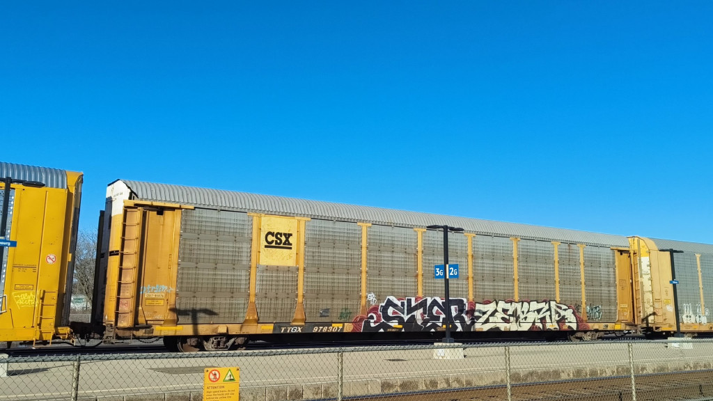 CSXT B11876 (Body) TTGX 978307 (Flat)